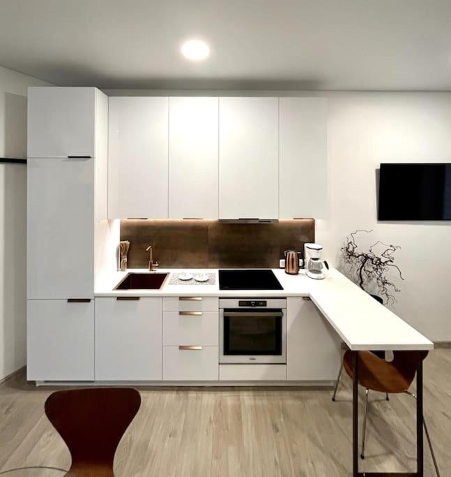 Kaunas Old Town Apartment Extérieur photo